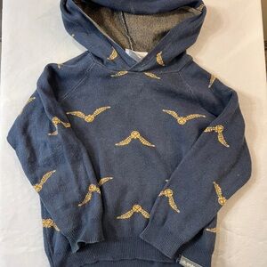 Warner Bros. Kids Hoodie with Golden Snitch Design